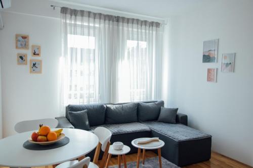 Apartman Vas dom Kraljevo stan na dan smestaj u zoni 3 kod parka sa patiom dvoristem ves masinom internetom